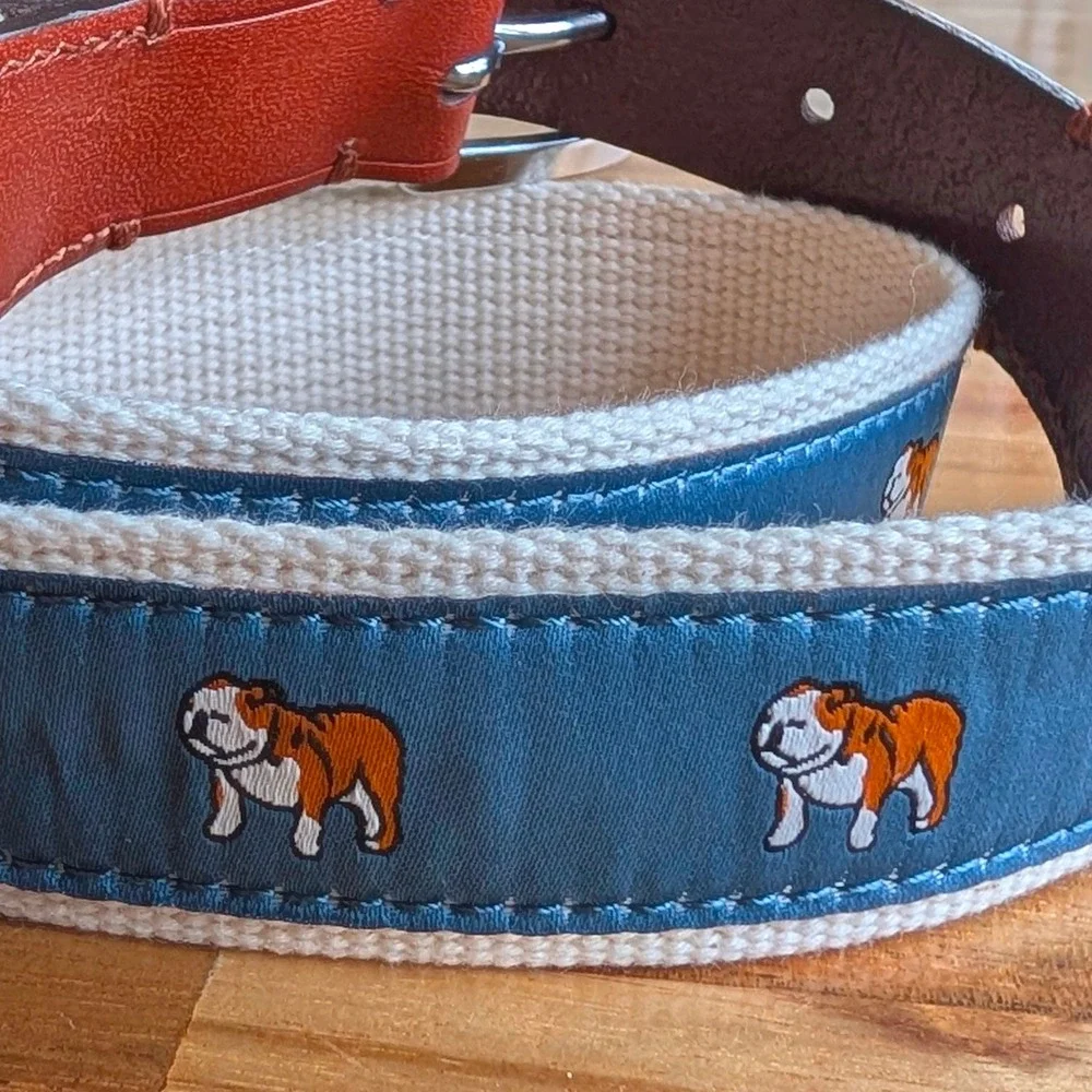 Crewcuts J.Crew Boy's Bulldog Canvas Leather Belt Blue Cream Brown Size Medium